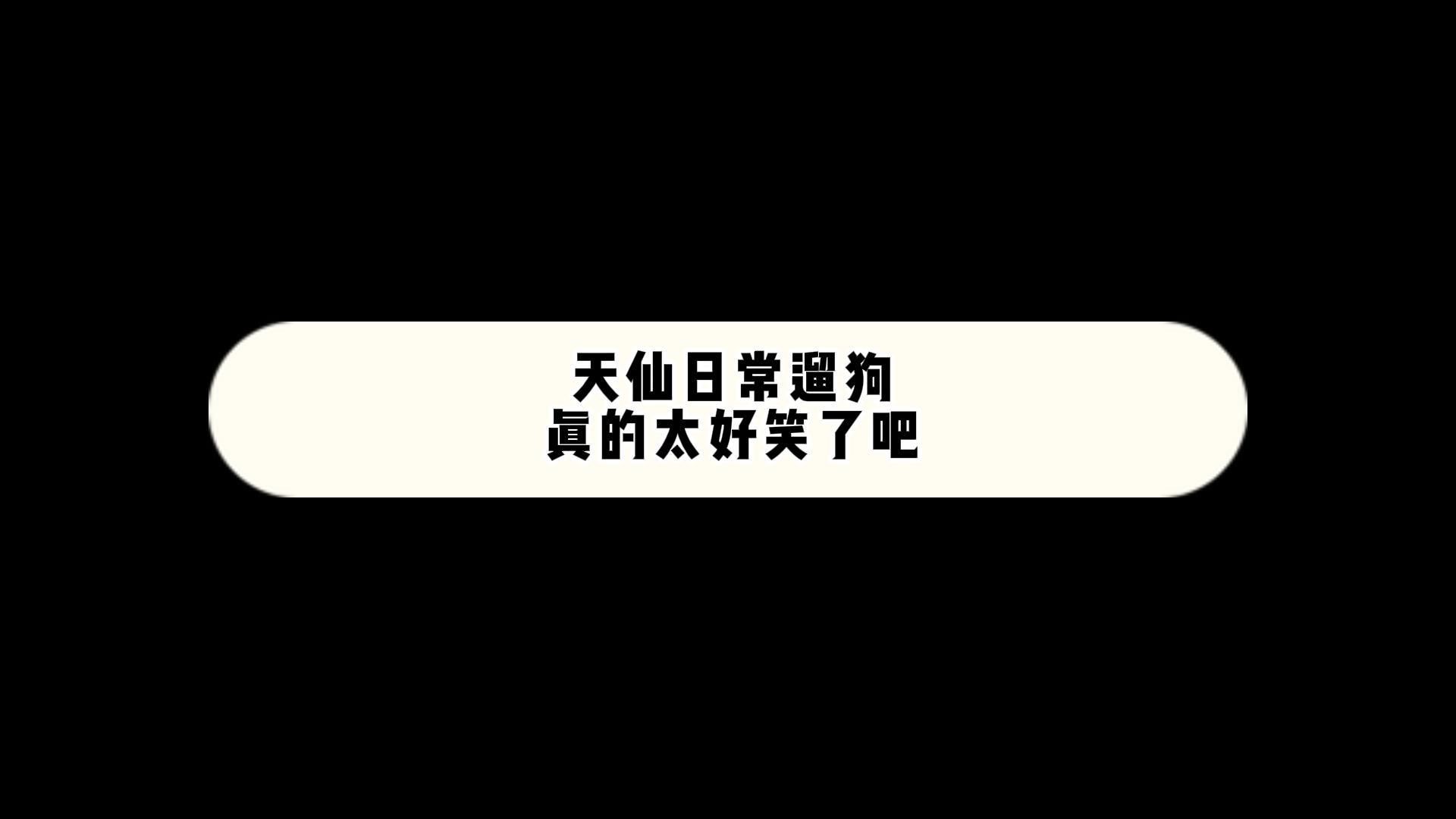 【针锋对决】广播剧||天仙日常遛狗真的太好笑了吧哈哈哈哈哈哔哩哔哩bilibili