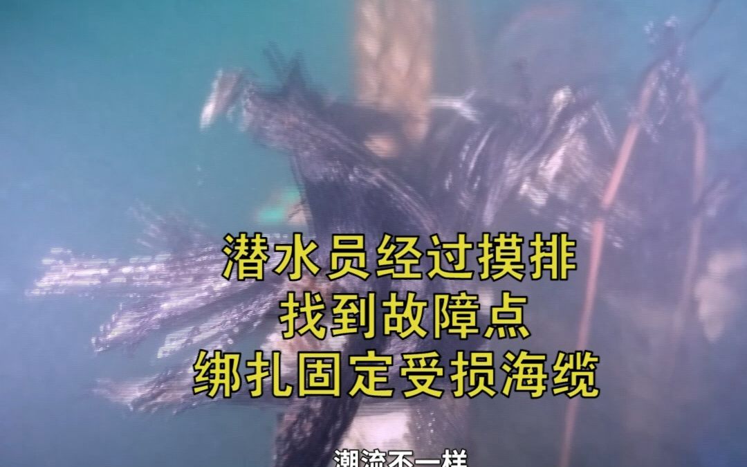 [图]【风从海上来】海底电缆发生故障 如何维修？