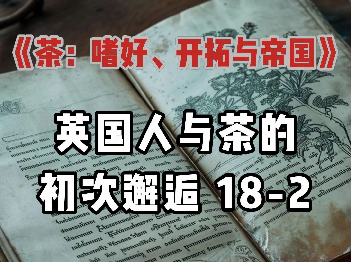 182 1662年英国国王查理二世娶葡萄牙公主凯瑟琳,从而使英国人接触到茶 《茶:嗜好、开拓与帝国》书籍解读哔哩哔哩bilibili