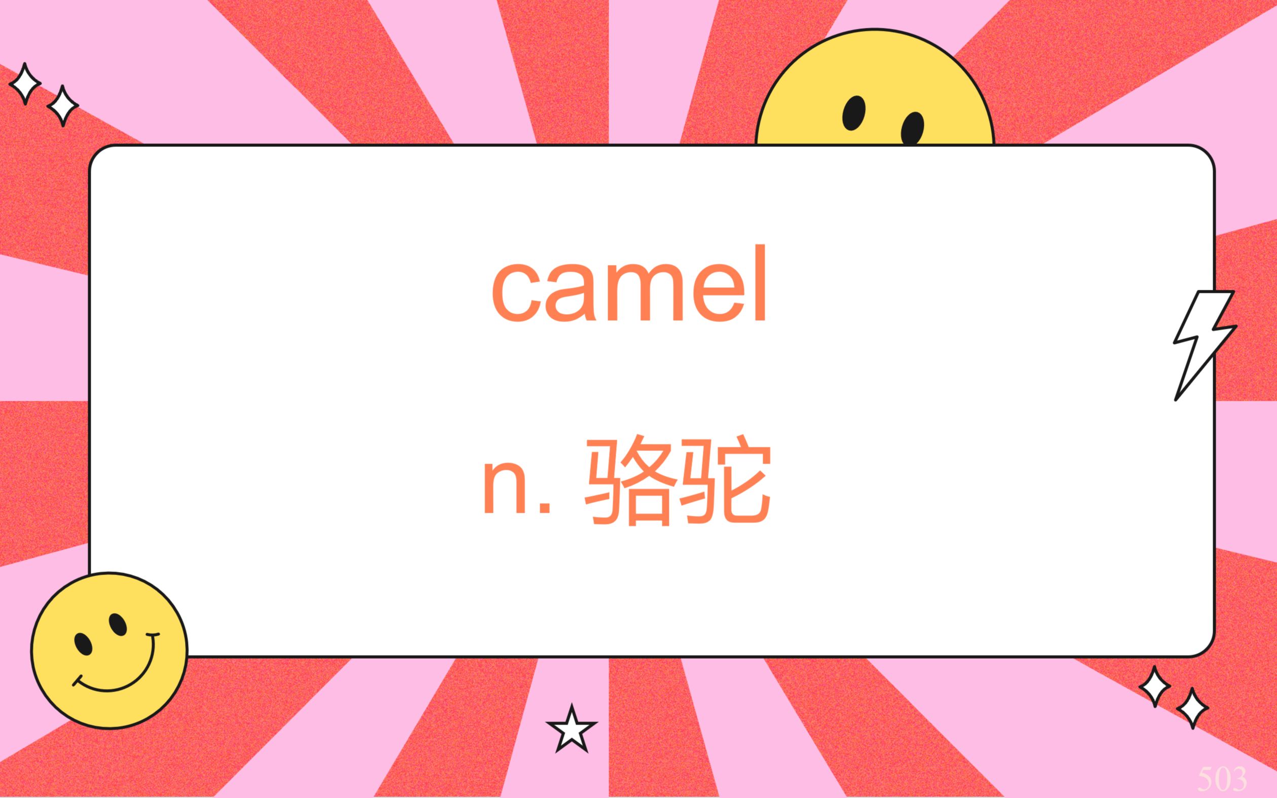 503.camel哔哩哔哩bilibili