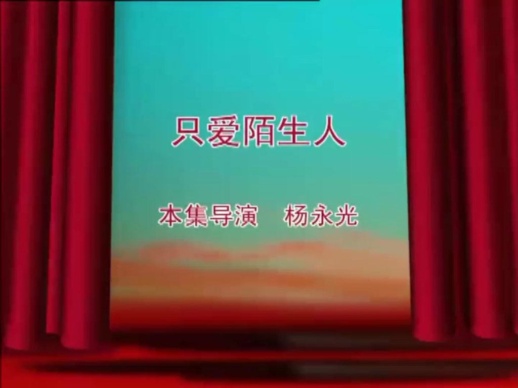 乘龙怪婿2(53)只爱陌生人