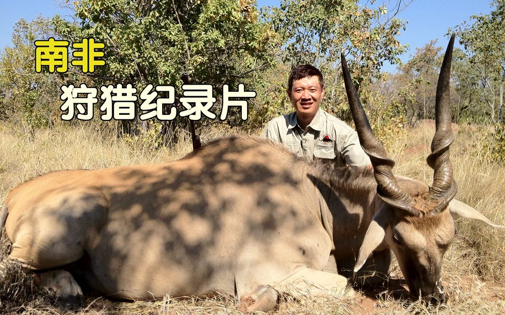 南非狩猎纪录片