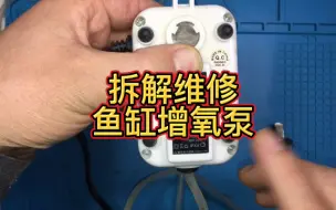 Download Video: 拆解维修鱼缸增氧泵，突然不打氧了，拆开发现是螺丝松了导致漏气