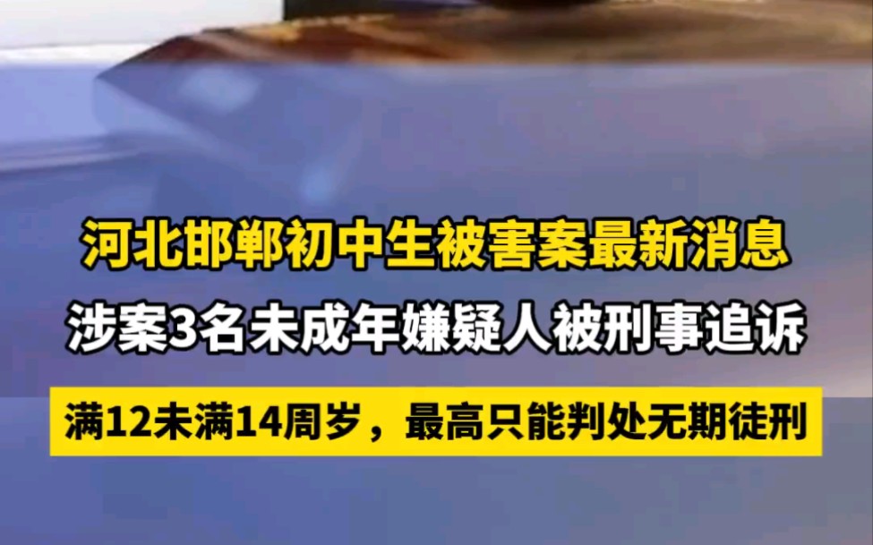 河北邯郸初中生被害案最新消息,涉案3名未成年嫌疑人被刑事追诉,满12未满14周岁,最高只能判处无期徒刑.哔哩哔哩bilibili