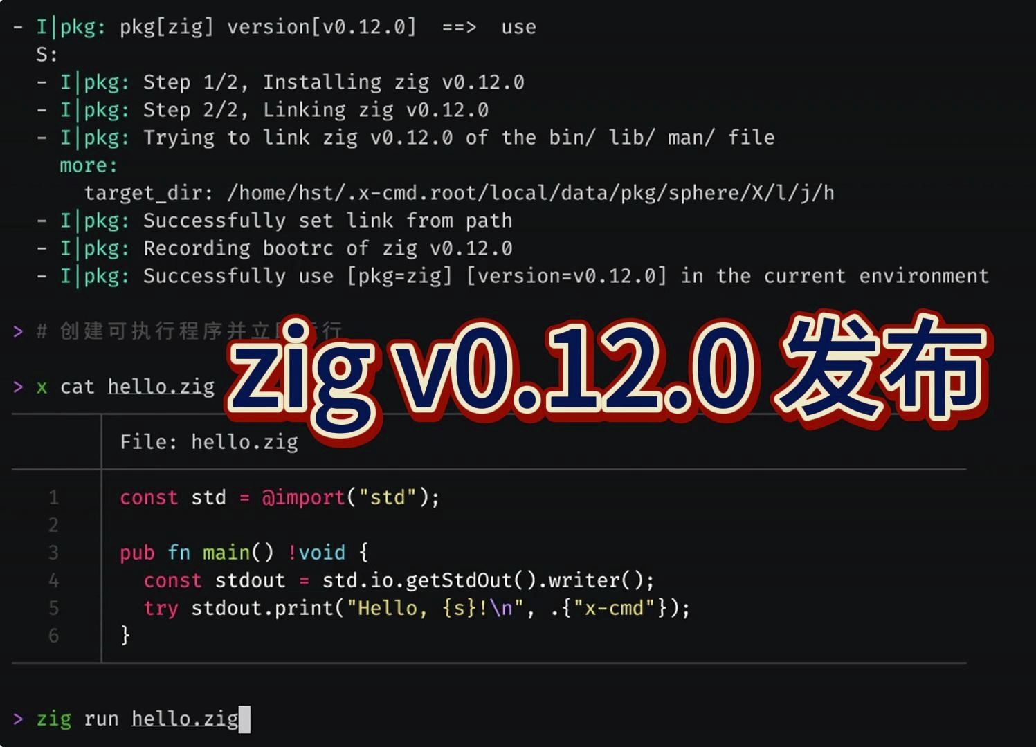 zig v0.12.0 发布哔哩哔哩bilibili