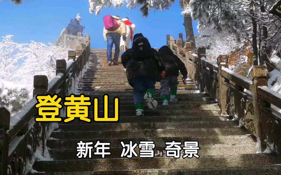 新年登黄山领略冰天雪地不一样的风景哔哩哔哩bilibili