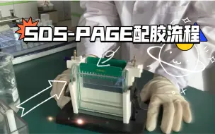 Download Video: 生物化学实验-04-SDS-PAGE配胶操作流程。