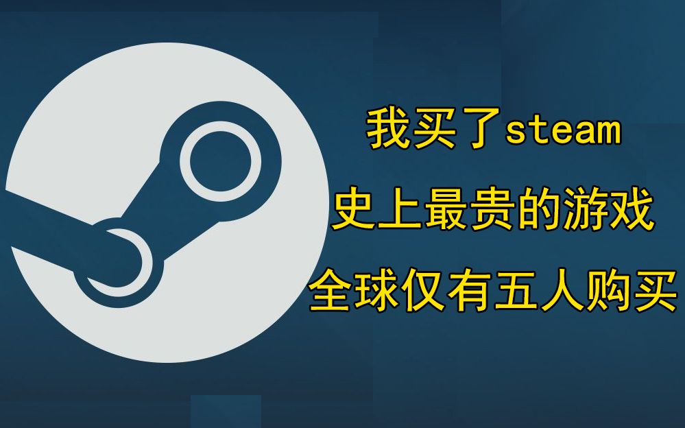 [图]steam史上最贵的游戏，全球仅有5人购买