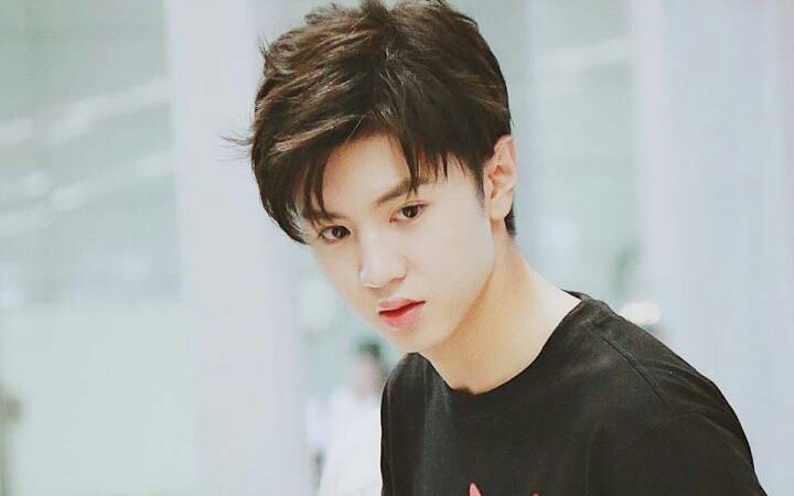【陈哲远】[甄俊—亲爱的活祖宗]三只小熊