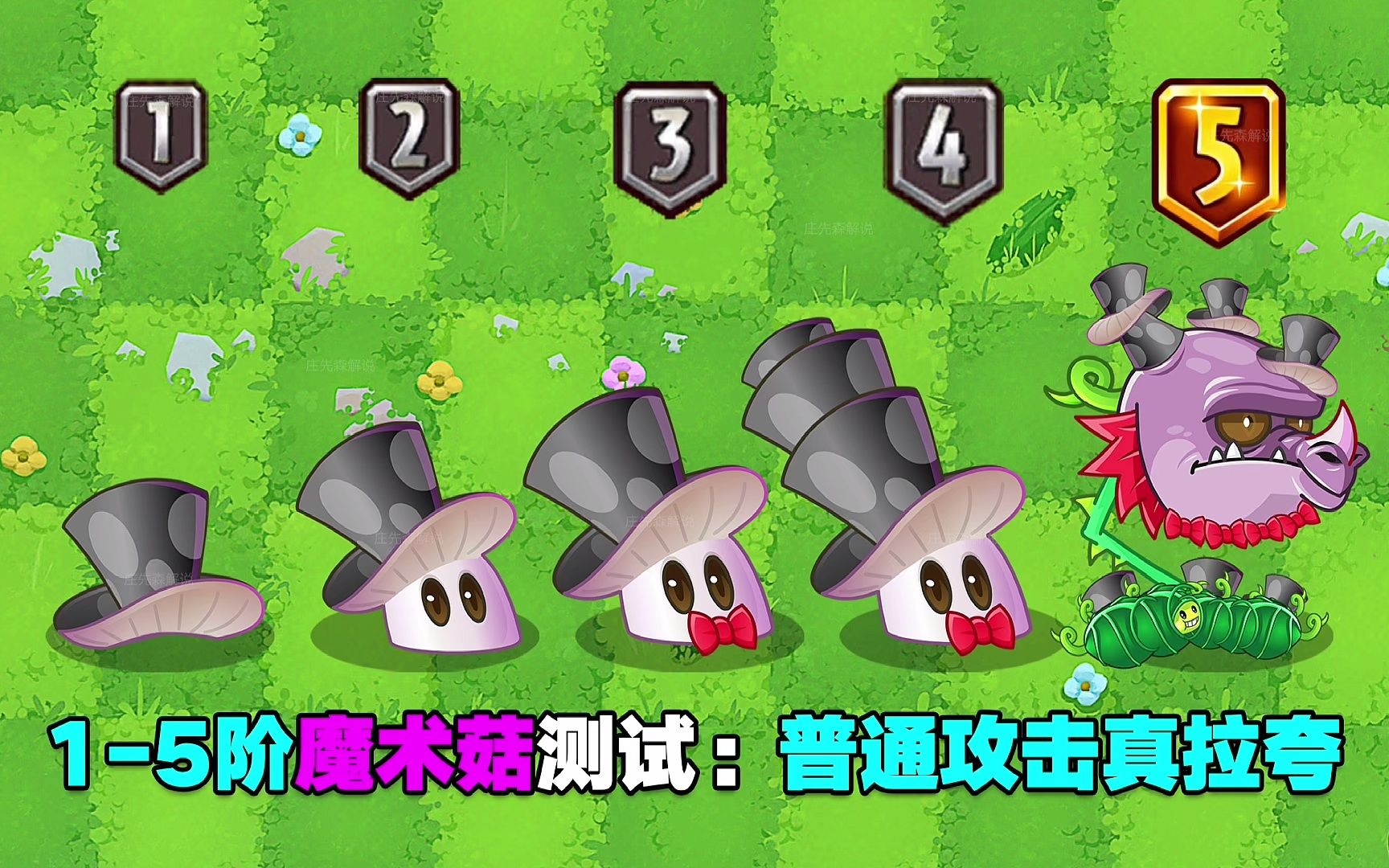1-5阶魔术菇测评:普通攻击刮痧,大招无敌!