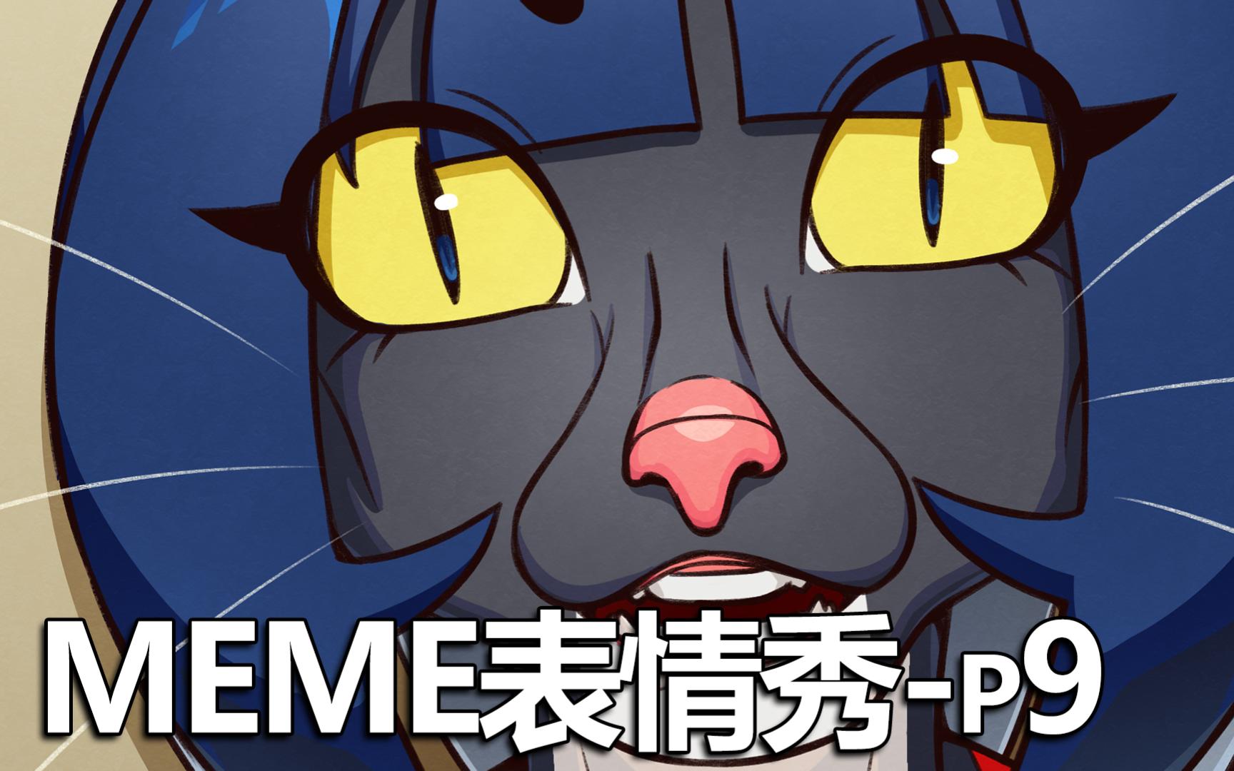 【meme表情秀】欢乐谷效应-第九期