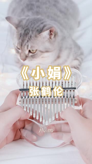 张鹤伦《小娟》 | 台上无大小,台下立新坟,坟坟挨着张鹤伦