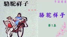 【听书】《骆驼祥子》老舍作品哔哩哔哩bilibili