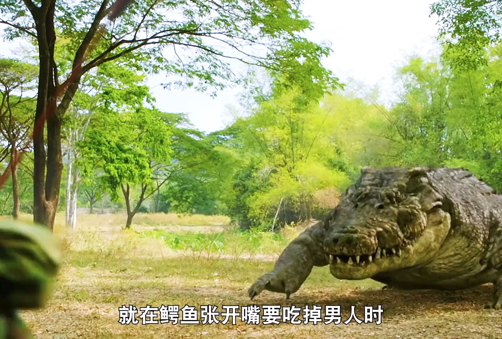 推荐一部非常好看的惊悚电影《巨鳄风暴》