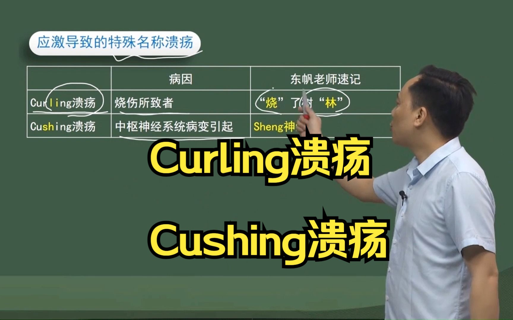 应激导致的特殊名称溃疡:Curling溃疡、Cushing溃疡,东帆老师速记!哔哩哔哩bilibili