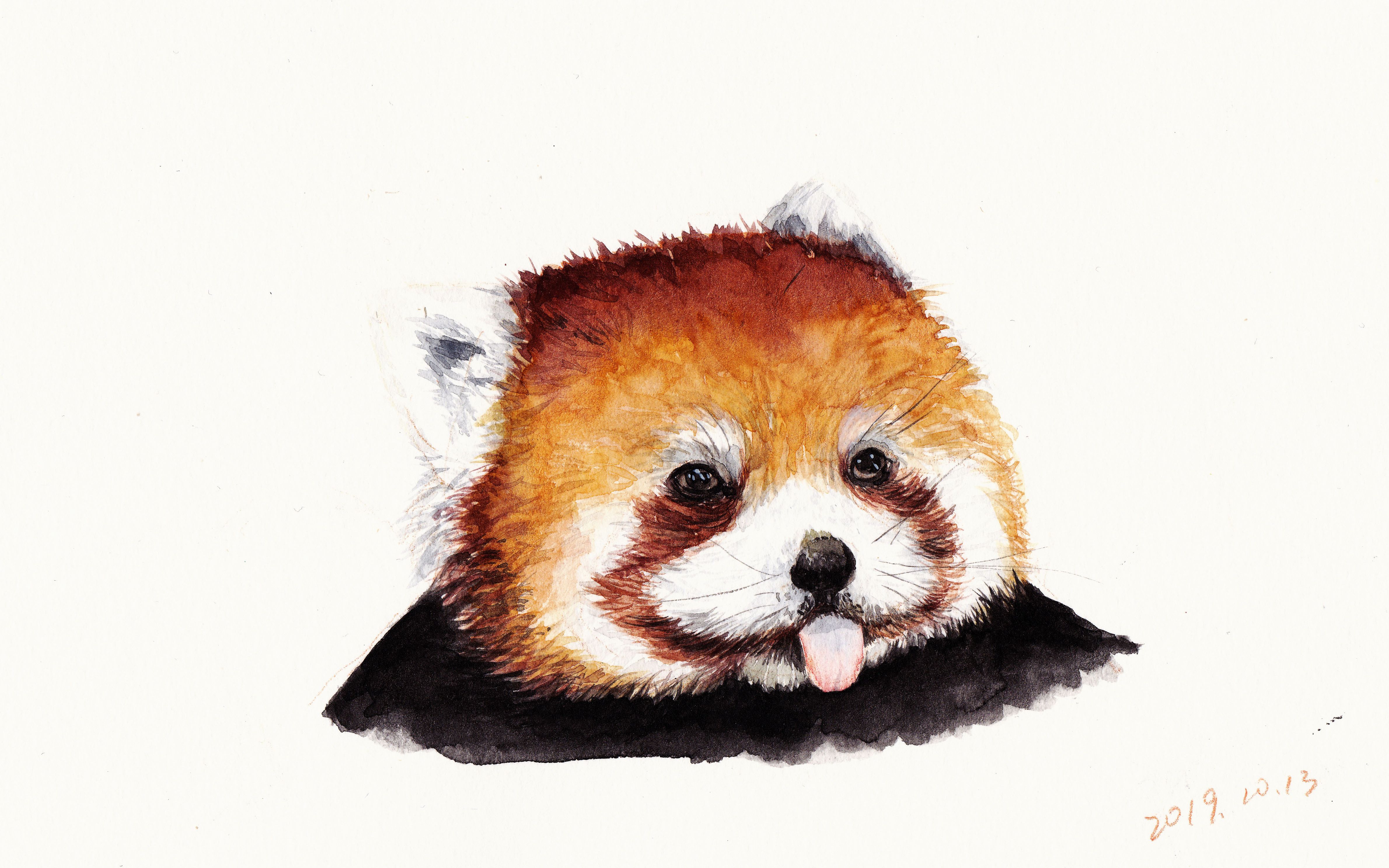 水彩绘画日常【小熊猫】_哔哩哔哩 (゜-゜)つロ 干杯~-bilibili