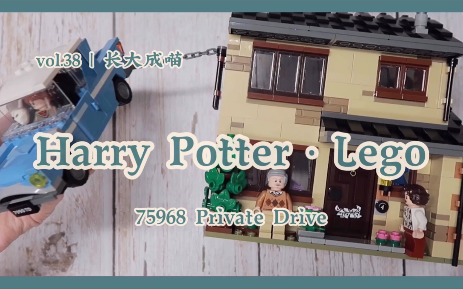 长大成喵哈利波特乐高75968逃离女贞路四号拼乐高看电影等待霍格沃茨