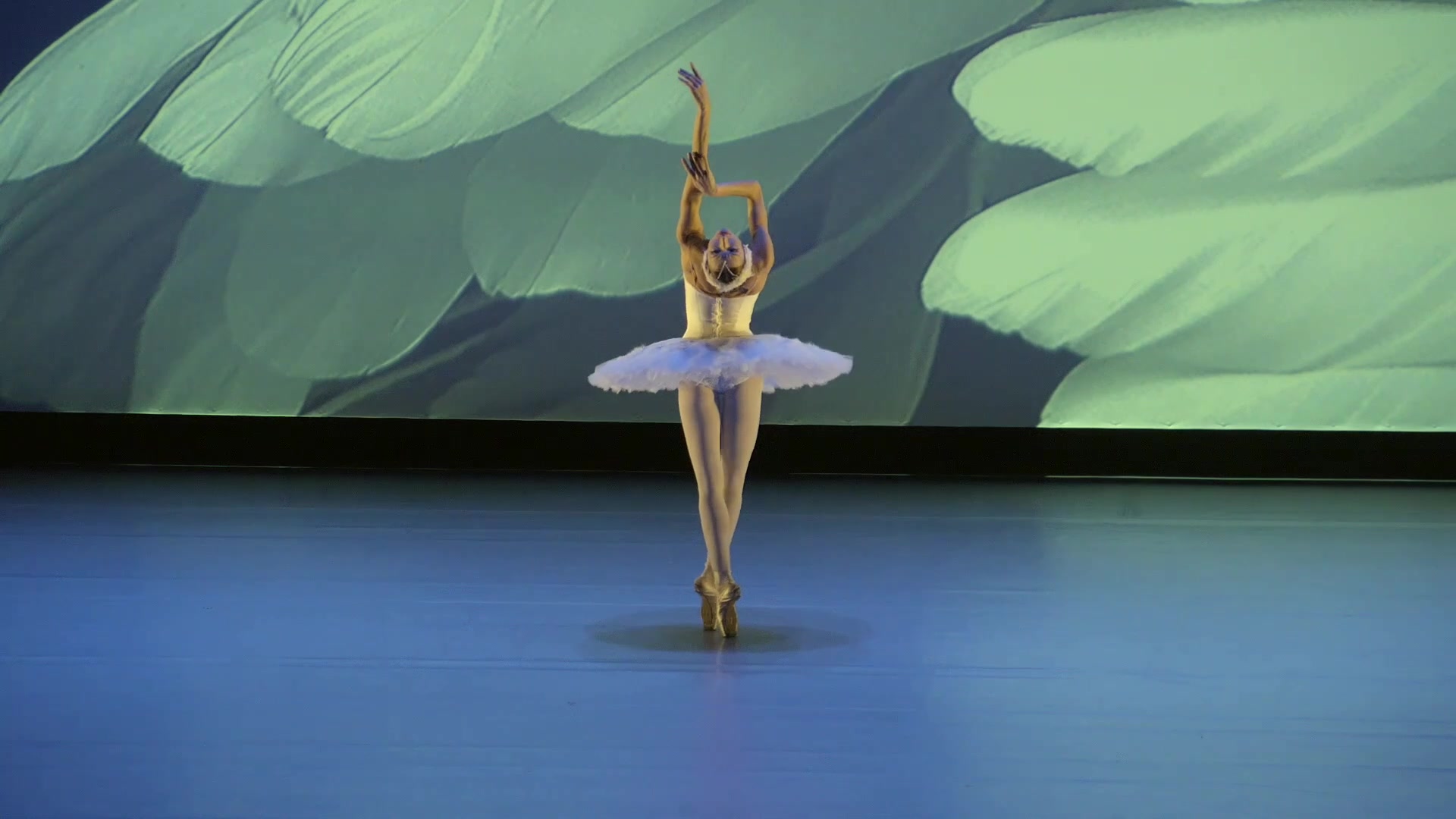 【芭蕾】《天鹅之死》 ekaterina osmolkina【2015 日内瓦】