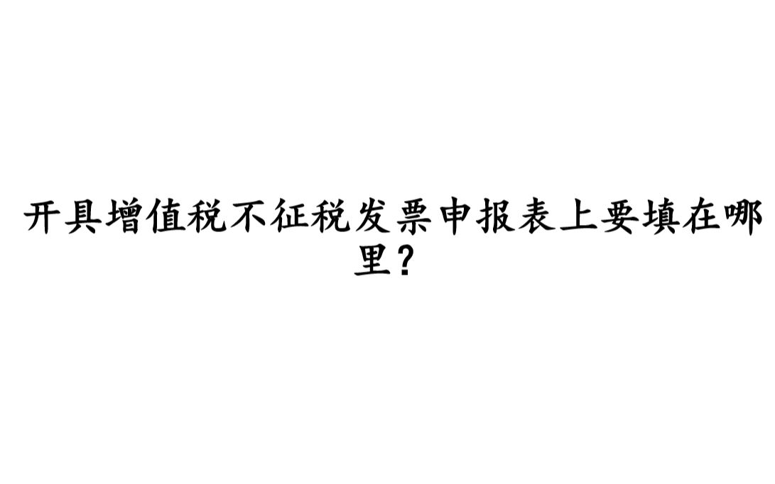 开具增值税不征税发票申报表上要填在哪里?哔哩哔哩bilibili