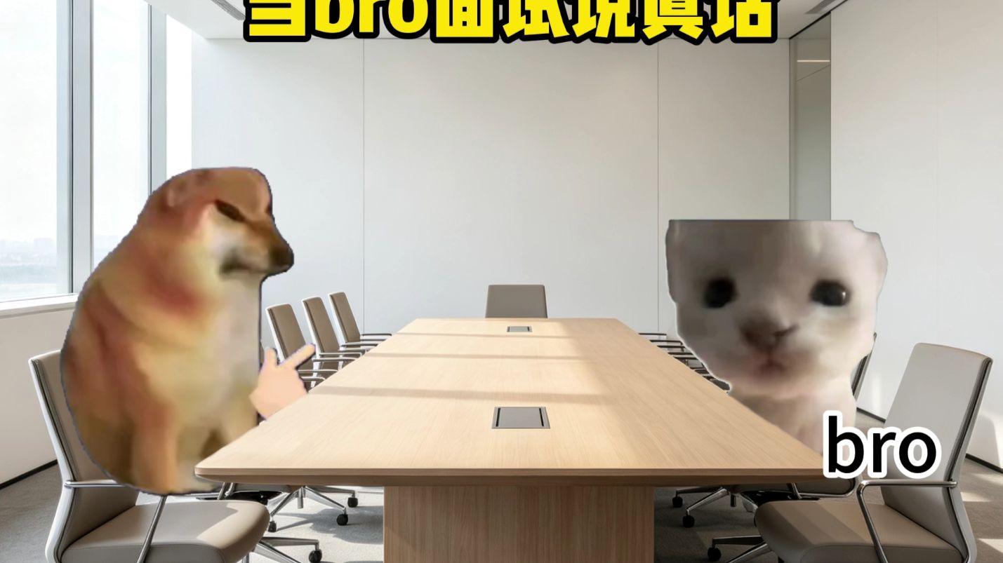 当bro面试说真话
