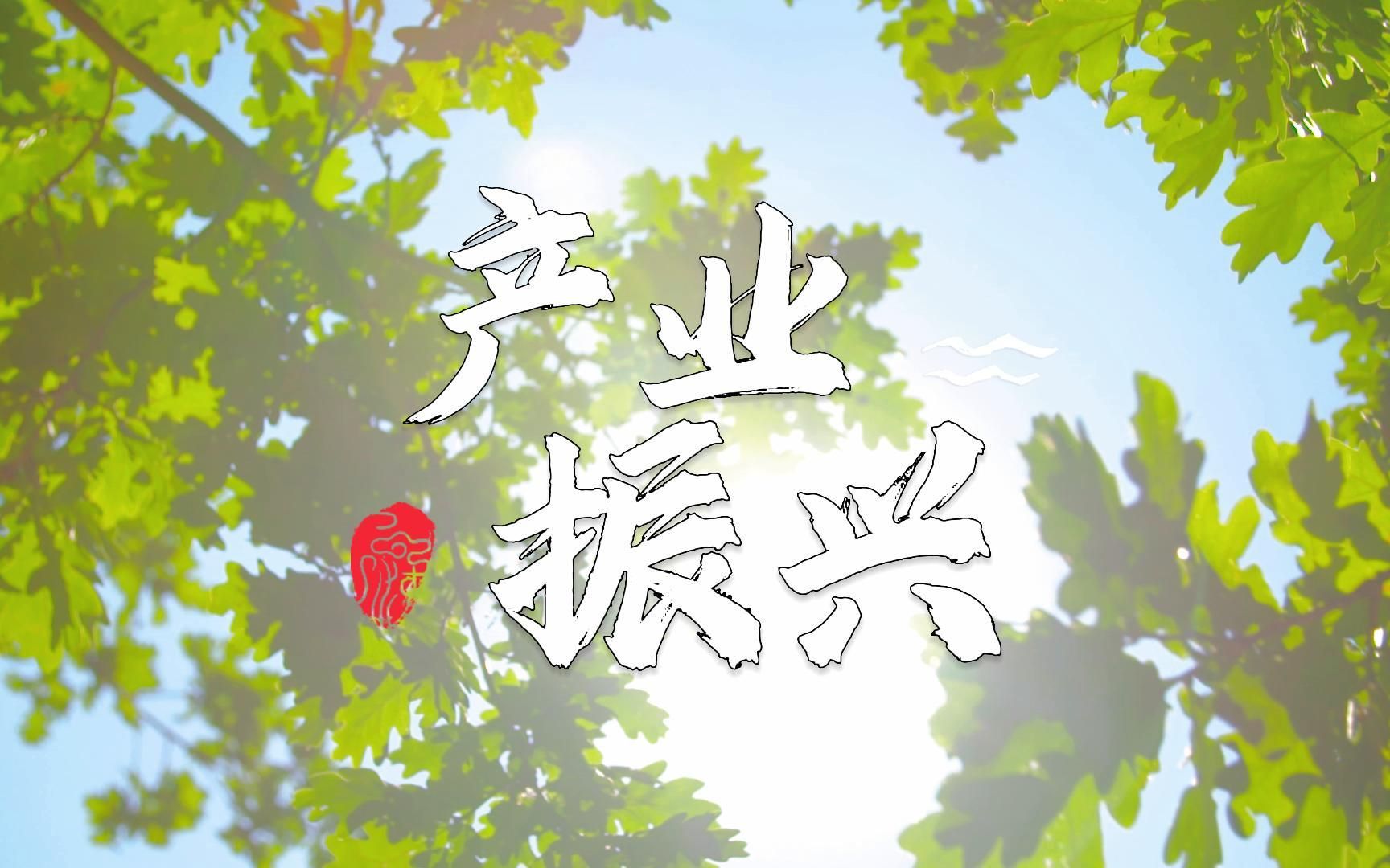 乡村发展多元化,产业年轻化,农村攻坚战进行时