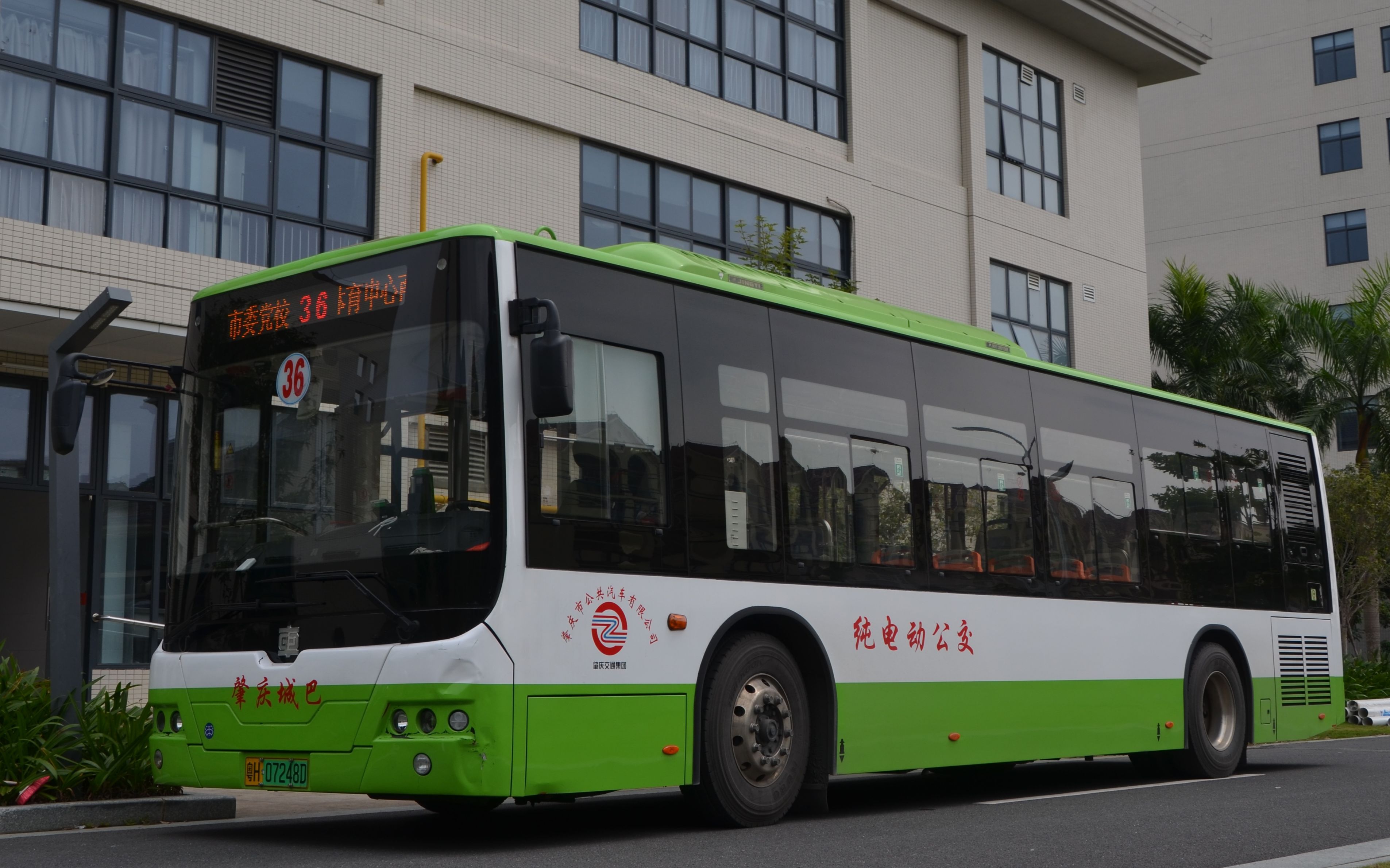 【肇庆城巴pov56】36体育中心南门-市委党校 前方展望_哔哩哔哩_bili
