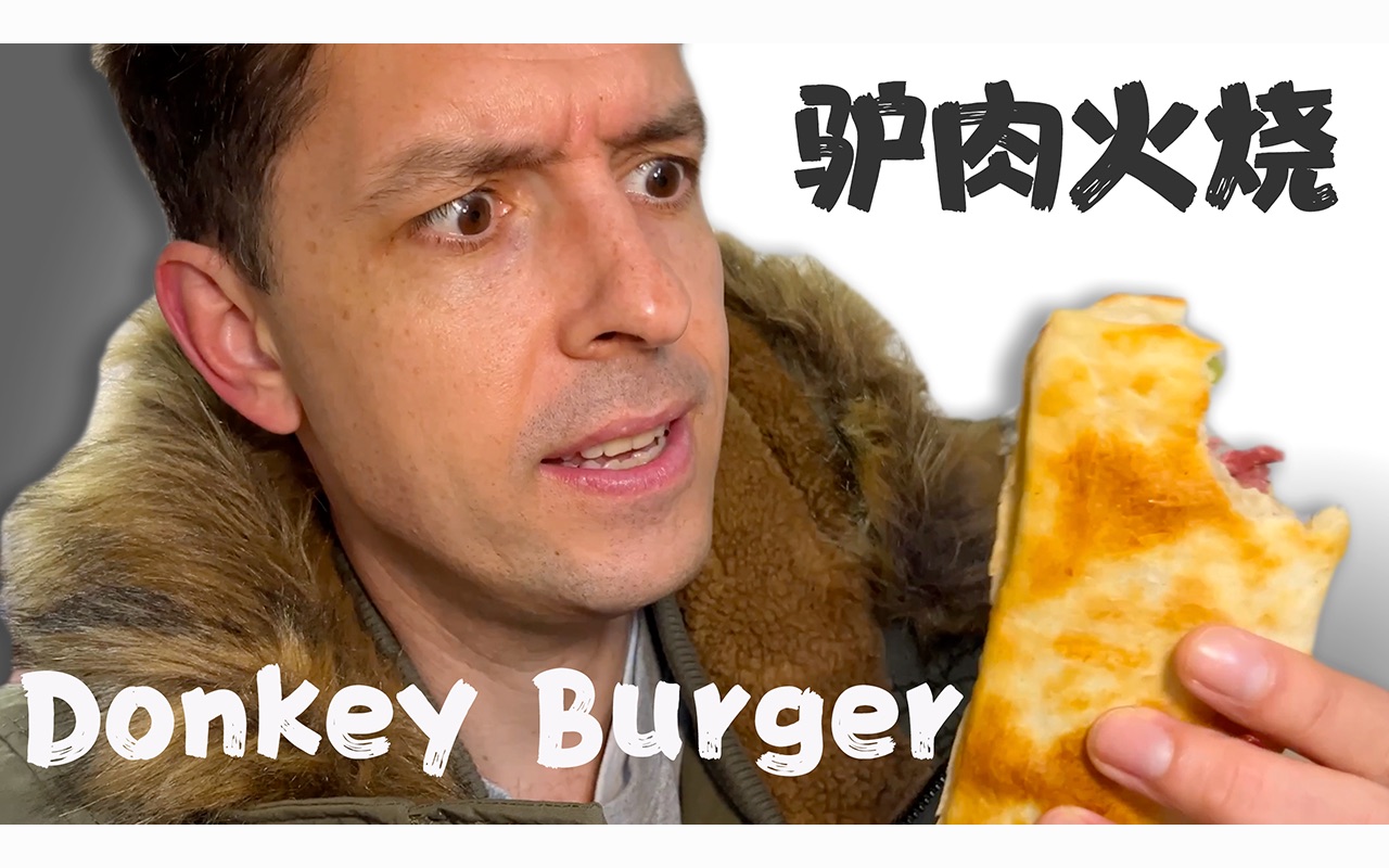 在中国的澳大利亚人爱吃驴肉火烧 Donkey Burger! Best Snack in China哔哩哔哩bilibili