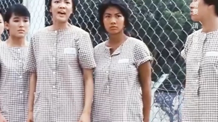 监狱风云之女逃犯 B站