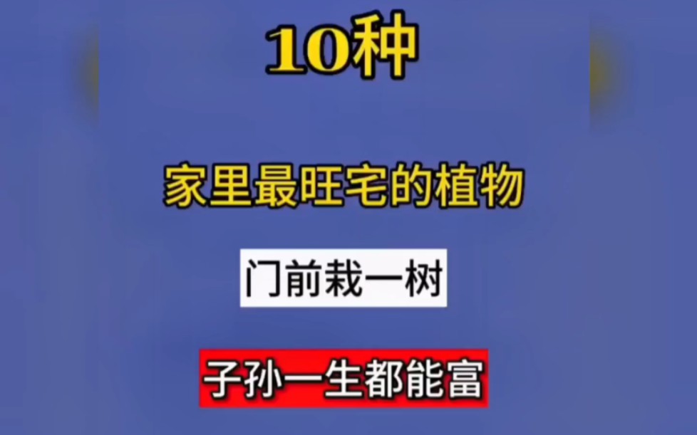 十种种在家里的植物,门前栽一树,子孙一直富.看看你家缺哪颗赶紧种上哔哩哔哩bilibili