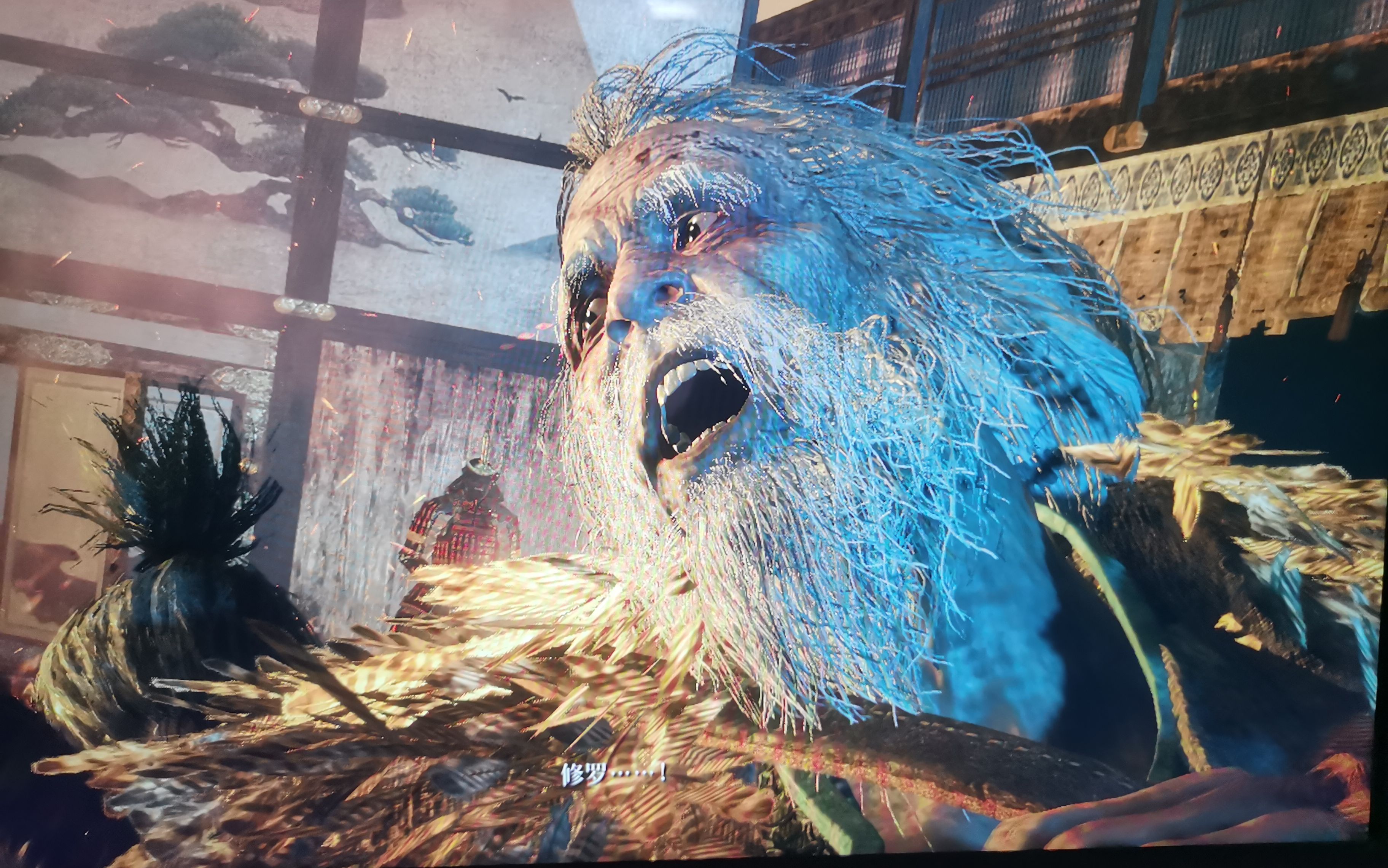 只狼壮年义父十血一攻