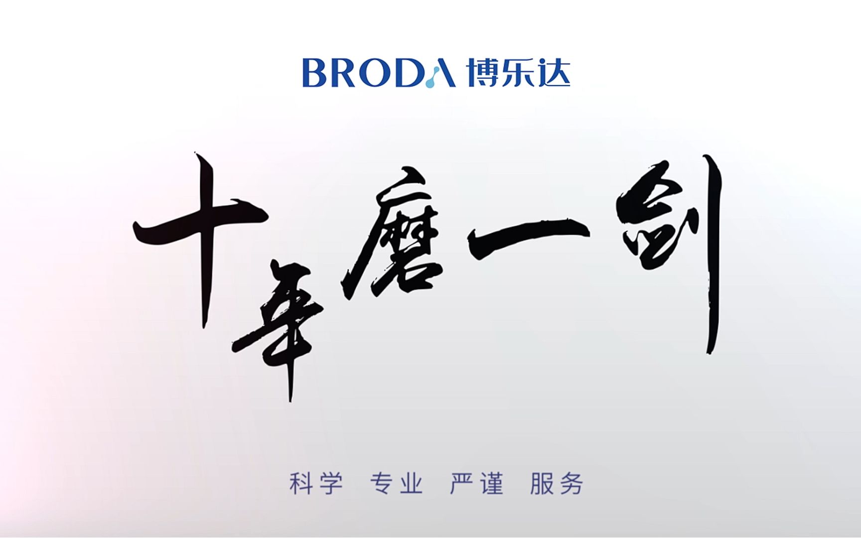 【博乐达】十年磨一剑,博乐达十周年啦