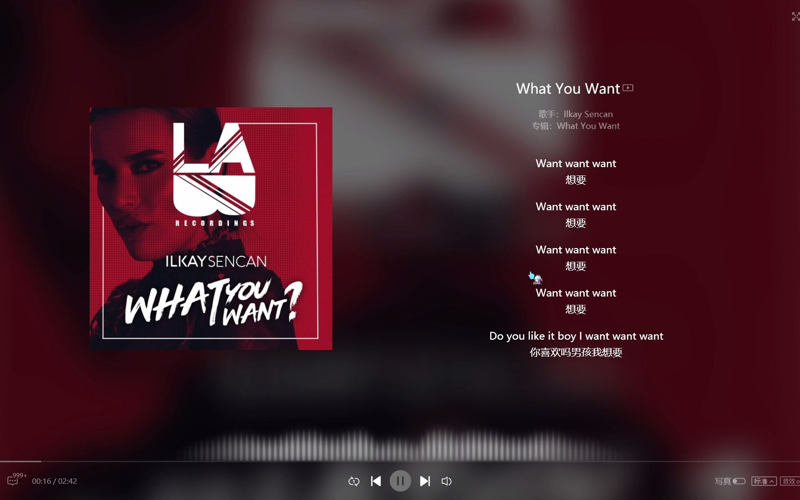 [图]What You Want - Ilkay Sencan