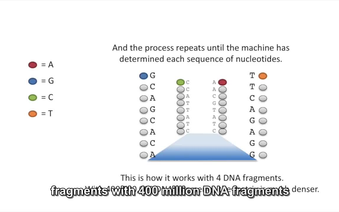 RNA测序简介( A gentle introduction to RNAseq  StatQuest)哔哩哔哩bilibili