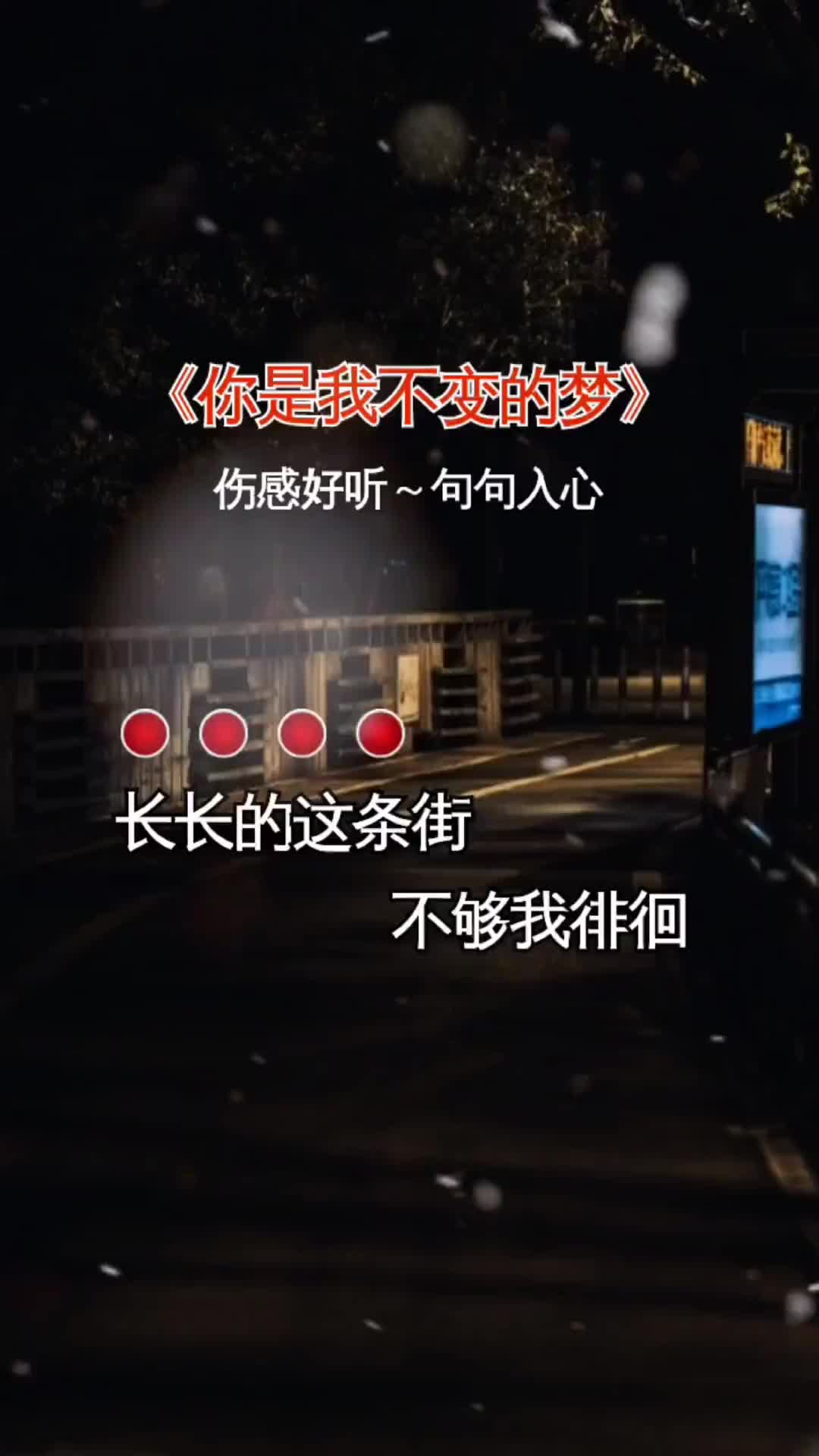 你是我不变的梦歌词