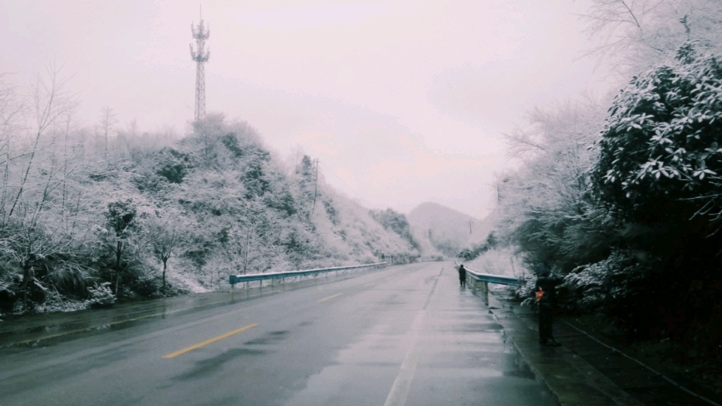 苍山负雪,明烛天南.哔哩哔哩bilibili