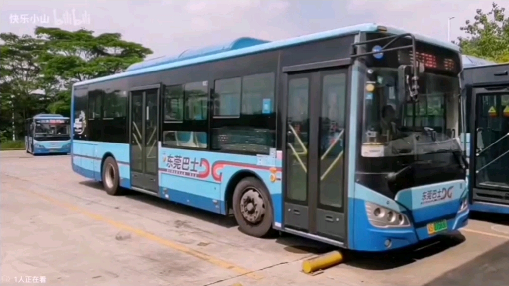 东莞巴士各种车型 申龙 宇通 宏远