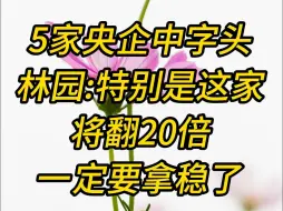 Télécharger la video: 5家央企中字头林园特别是这家将翻20倍一定要拿稳了5