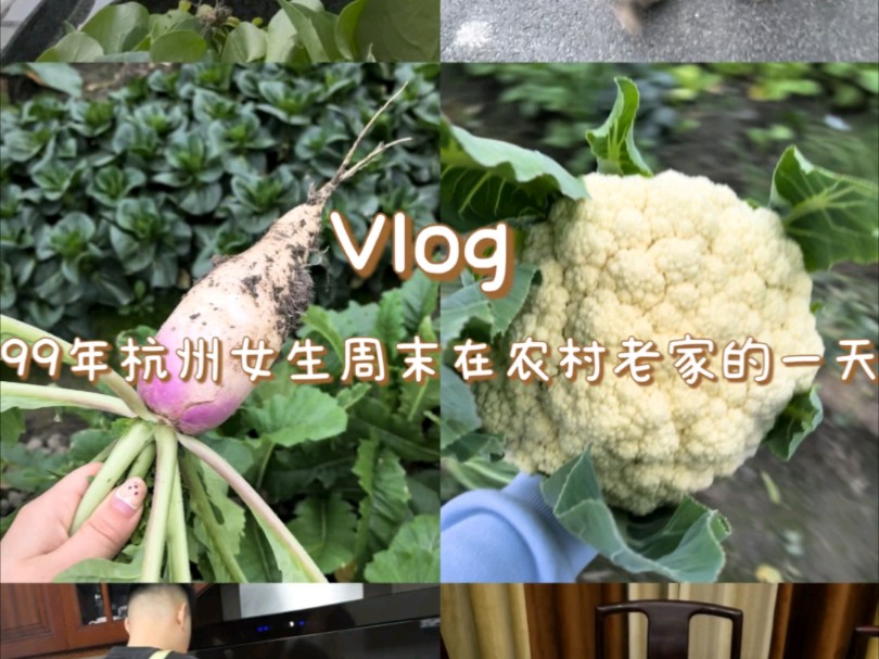 Vlog^0^日常♡在杭州农村的一天~哔哩哔哩bilibili