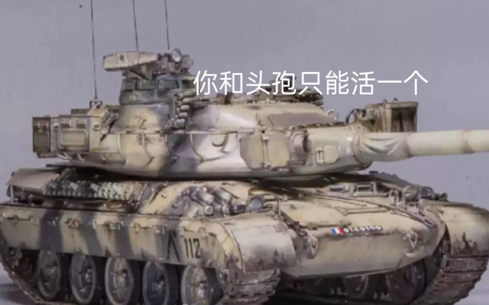 [图]优雅卫士——AMX30B