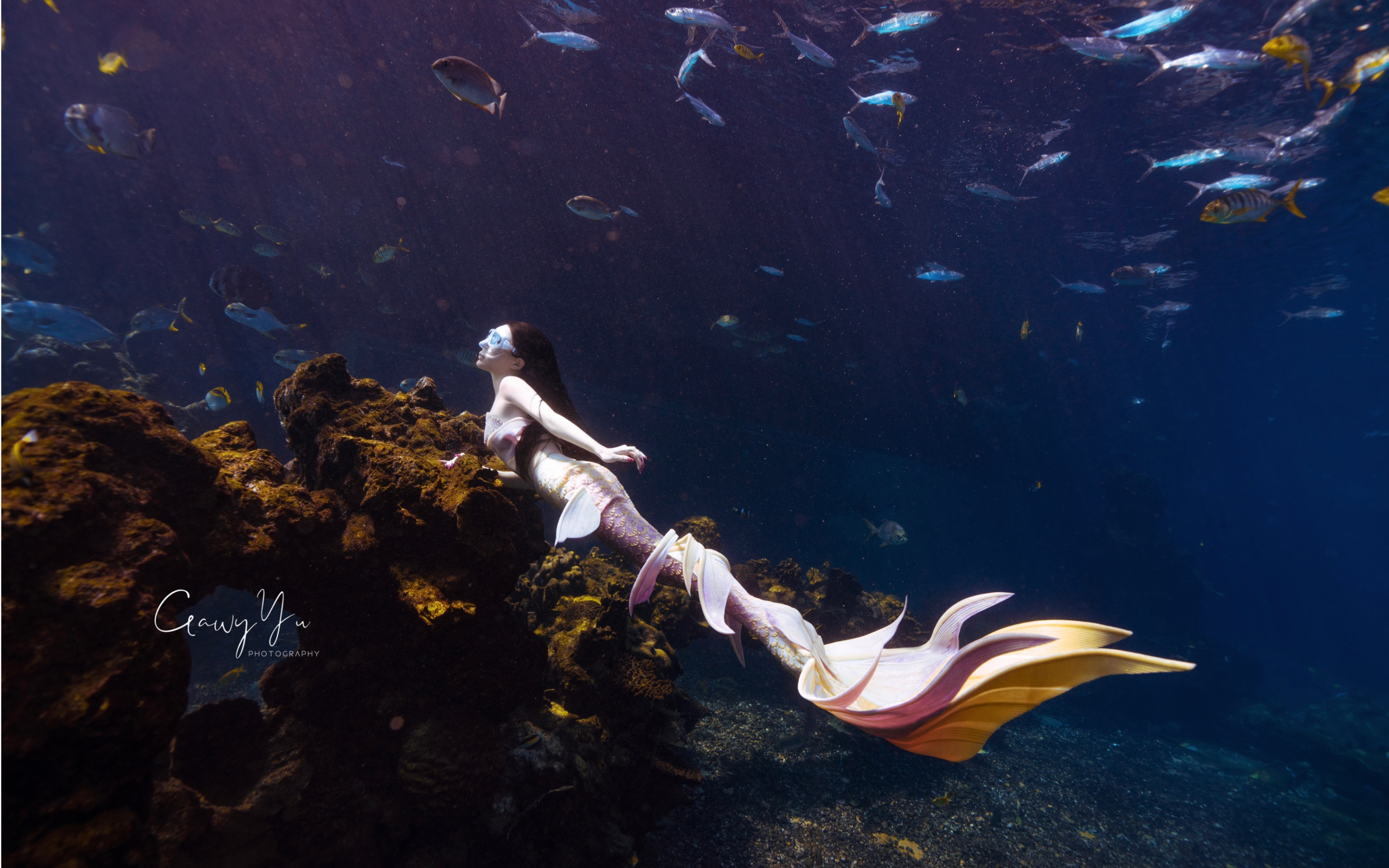 南京海底世界美人鱼图片