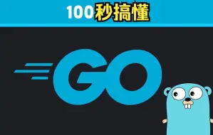 Descargar video: 1️⃣0️⃣0️⃣秒了解Go编程语言