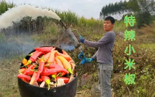 Descargar video: 小伙拿特辣小米椒驱鼠，往地洞一熏老鼠立马爬岀来，真过瘾！