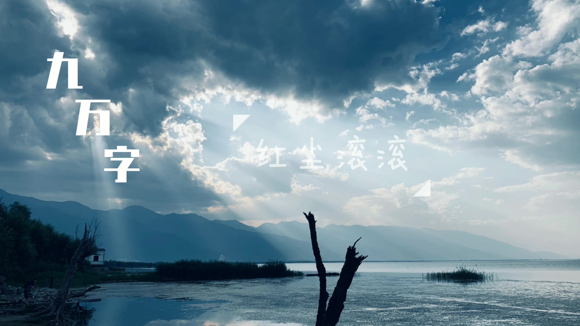 九万字——妖扬