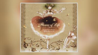 陽花的美妙女声代表作《Flower of Life》发热巫女高品质CD音乐分享_哔