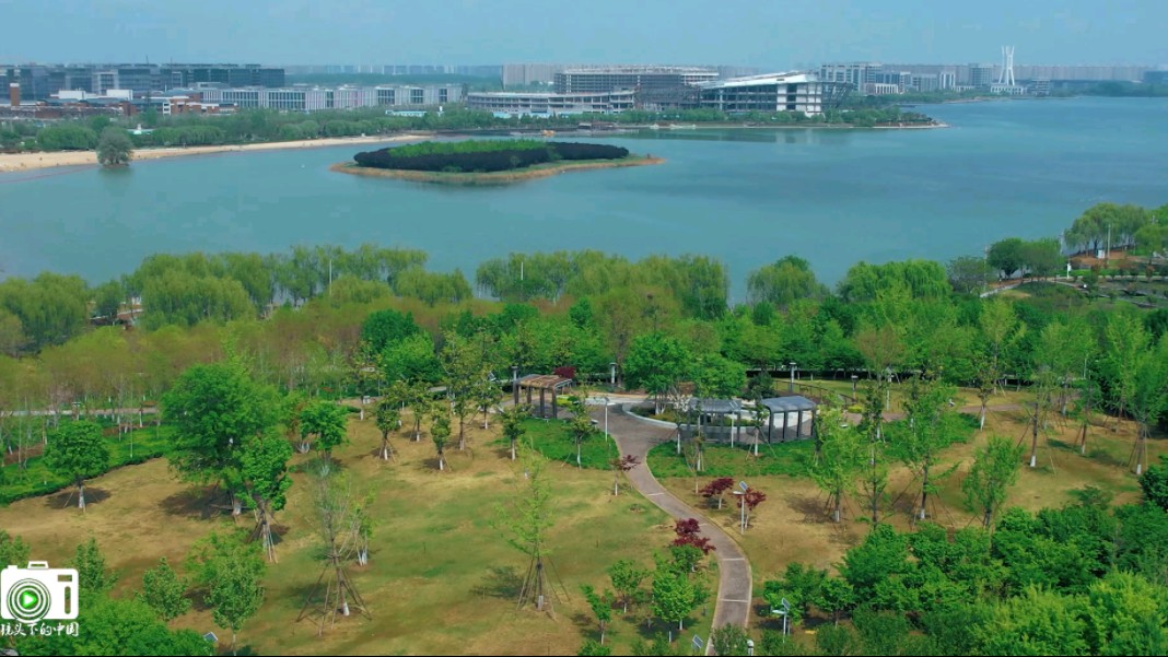 郑州龙湖湿地公园绿意盎然,水天一色,构成了一幅宁静祥和的画卷
