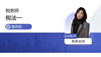 2023税务师【税法一-精讲班-费舒婷】46-第三章-第四节-计税依据