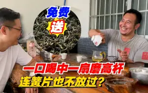 Télécharger la video: 一口喝中一扇磨高杆！老高连簧片也不放过？大气免费送茶友？