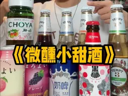 Download Video: 不喜欢啤酒苦味！又喜欢小酌微醺的女生们！微醺小甜酒来啦！