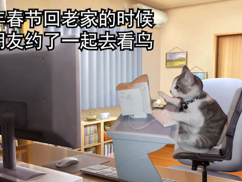 【猫meme】关于去年春天我和朋友一起去观鸟的故事哔哩哔哩bilibili