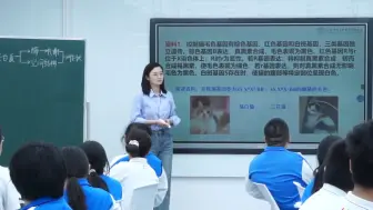 Descargar video: 2024年公开课一等奖《基因与性状的关系》江西赛区